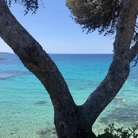 L'ete Indien 2 Daire Sanary-sur-Mer