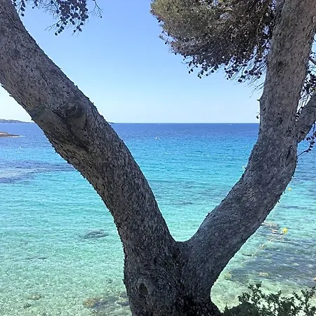 L'ete Indien 2 * Sanary-sur-Mer